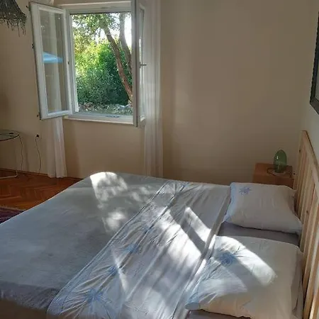 Petra's House