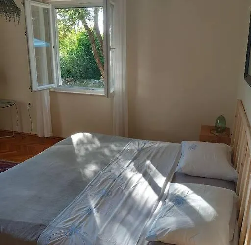 Petra's House