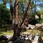 דירה Petra's House