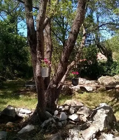 Apartment Petra's House